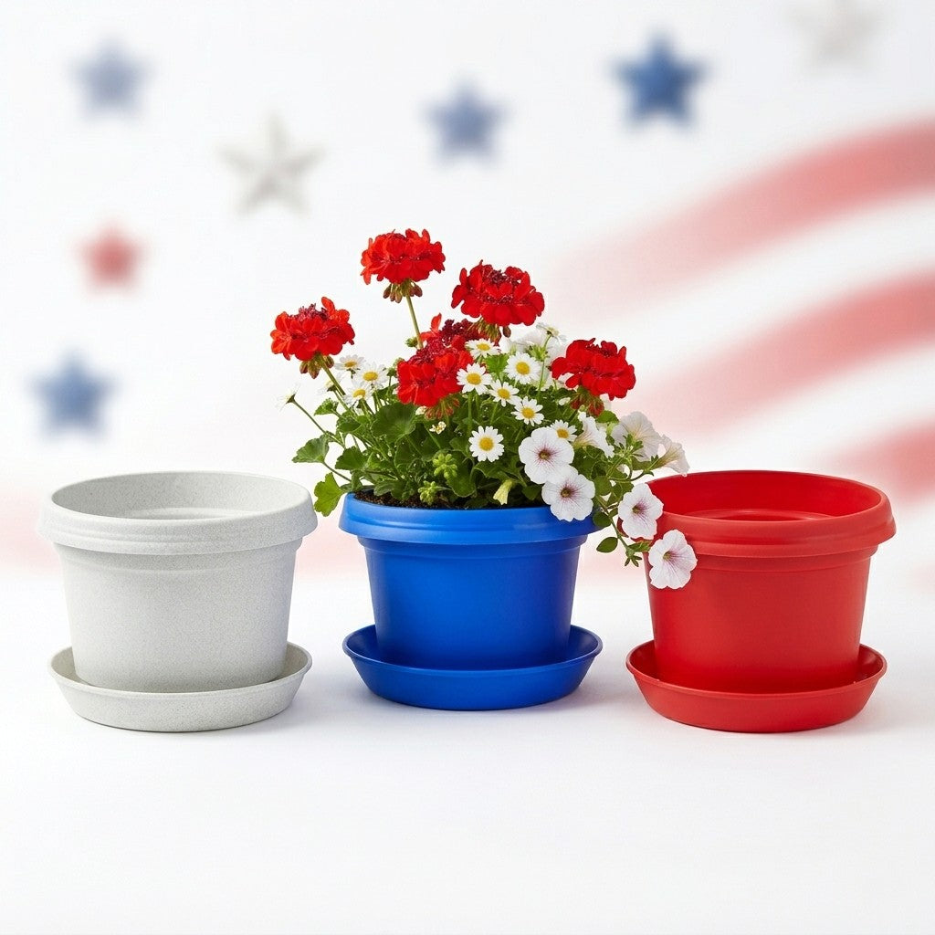 Red White and Blue