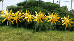 Spinning Daisy, 3 sizes, various colors.