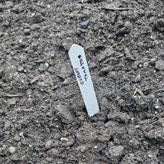 Plant Marker