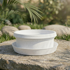 Bowl, 7 inch with saucer