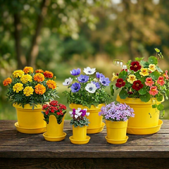 12-Piece Flower Pot and Saucer Set, (2"–12")