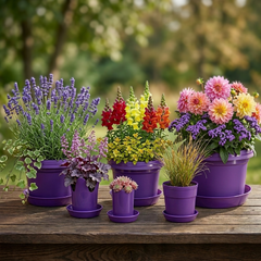 12-Piece Flower Pot and Saucer Set, (2"–12")