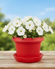 Austin Planter Pots with Matching Saucers or Hangers, red white and blue