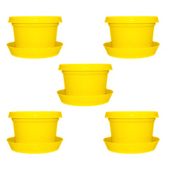 Bowl, 7 inch with saucer