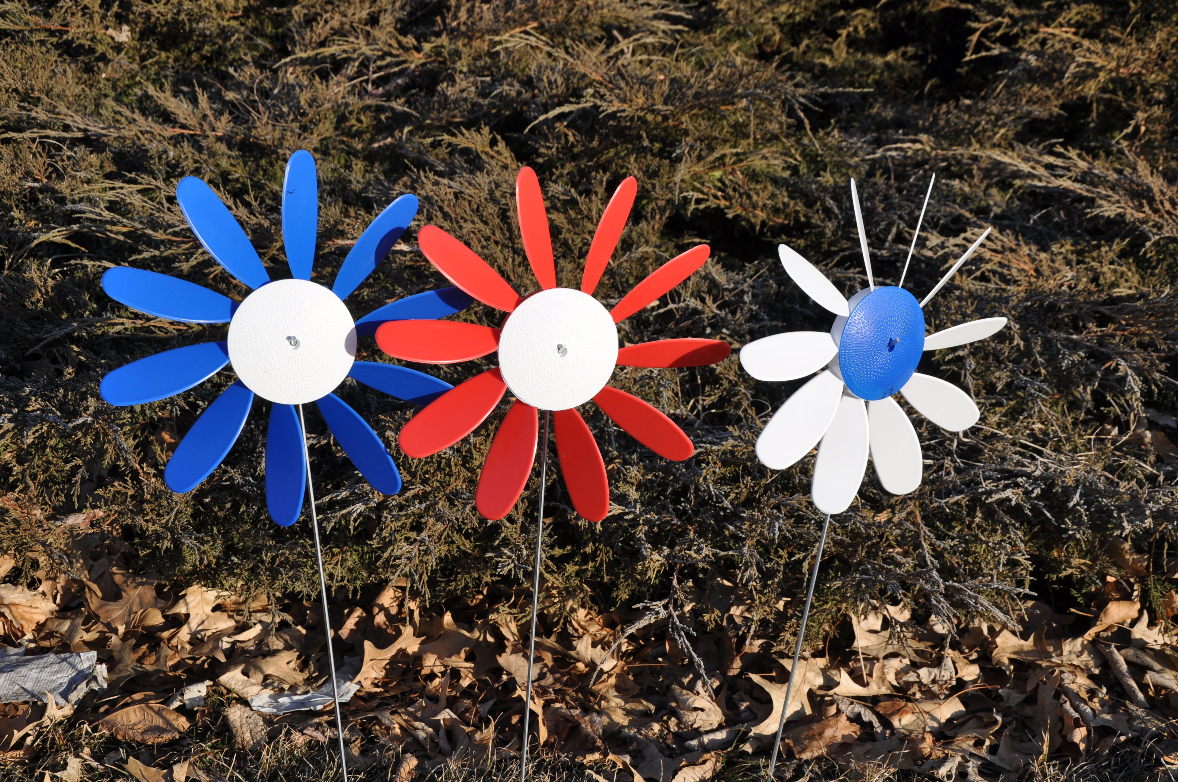 Spinning Daisy, 3 sizes, various colors.