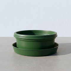 Austin Planter 13 inch by 5 inch Pot with Saucer (14 inch saucer)