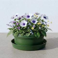 Austin Planter 13 inch by 5 inch Pot with Saucer (14 inch saucer)