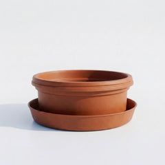 Austin Planter 13 inch by 5 inch Pot with Saucer (14 inch saucer)
