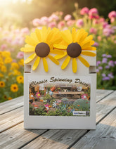 Classic 12 inch Spinning Daisies pack of 24 in PDQ display