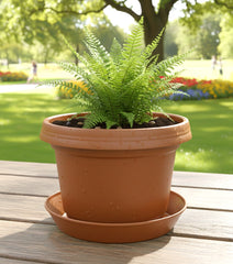 Bowl, 7 inch with saucer