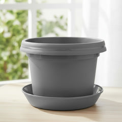 Bowl, 7 inch with saucer