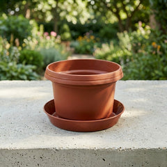 Bowl, 7 inch with saucer