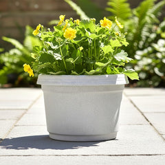 Bowl, 7 inch with saucer