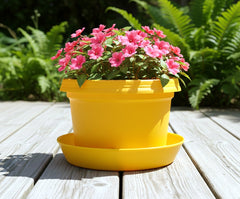 Bowl, 7 inch with saucer