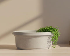 Bowl, 7 inch with saucer