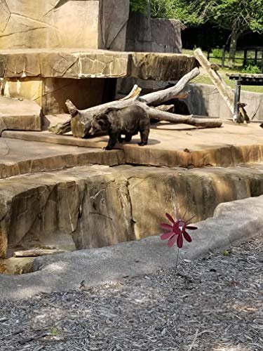 Spinning Daisy, 3 sizes, various colors.