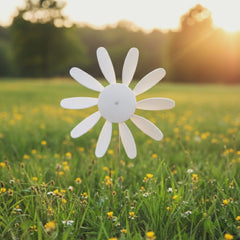 Spinning Daisies