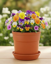 Austin Planter Plastic Flower Pots with Saucers, 4 inch, Terra Cotta 5 Pack, Planter, Nursery Planter, Colorful Pots with Saucers