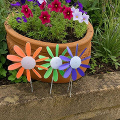 Spinning Daisy, 3 sizes, various colors.