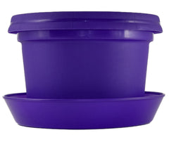 Bowl, 7 inch with saucer