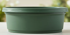 Bowl, 7 inch with saucer