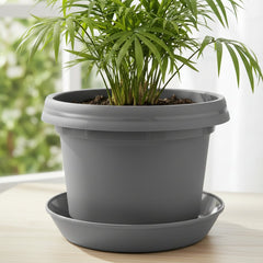 Bowl, 7 inch with saucer