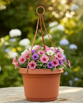 Austin Planter Hanging Flower Pots with Hangers, 11 inch, Terra Cotta, 5 Pack, seedlings Planter, Nursery Planter, Colorful Flower Planter, Seed Starting Pot with Hanger