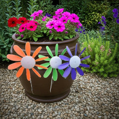 Spinning Daisy, 3 sizes, various colors.