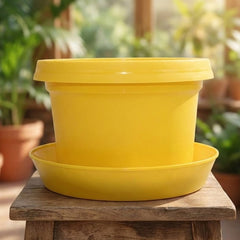 Bowl, 7 inch with saucer
