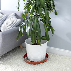 Terra Cotta Colored Tray and Drip Pan