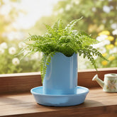 Wavy Pot with Round Saucer