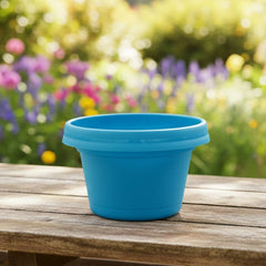 Bowl, 7 inch with saucer