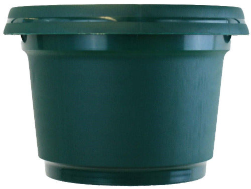 Austin Planter Plastic Flower Pot with Saucer over 6 inch