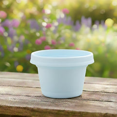 Bowl, 7 inch with saucer