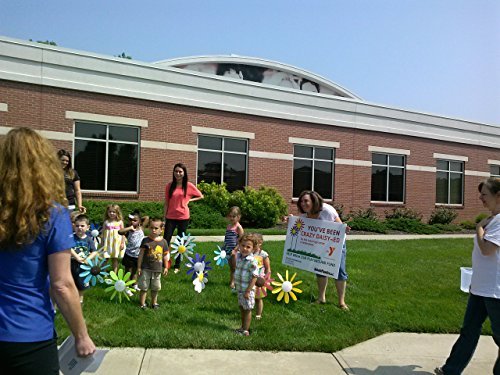Spinning Daisy, 3 sizes, various colors.