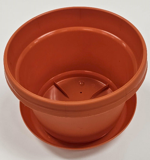 Austin Planter Plastic Flower Pot with Saucer over 6 inch