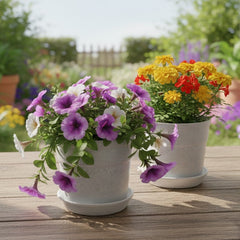 Austin Planter 4 inch Flower Pots with Saucers -White Granite( 5 Pack) - Polyprolylene- Made in USA