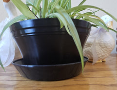 Bowl, 7 inch with saucer