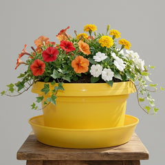 Bowl, 7 inch with saucer