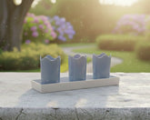 Austin Planter Case of 5 - Multi Size & Color Plastic Flower Pot, Seedling & Nursery Planter with Saucers