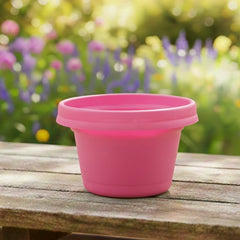 Bowl, 7 inch with saucer