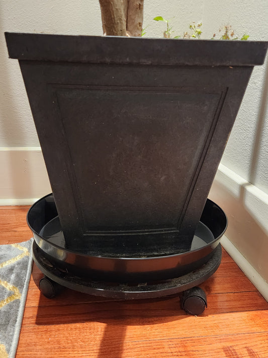 Hunter Green saucer by Austin Planter with a square planter