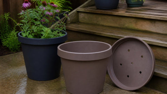 Are Plastic Planters Worth It? A Practical Guide