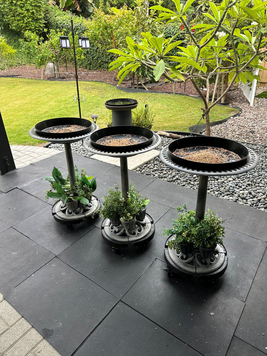 Unique use of austin Planter black saucers