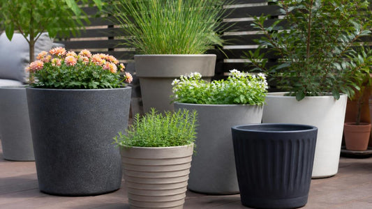 Durable Pots for Patio Gardening: 2026 Guide