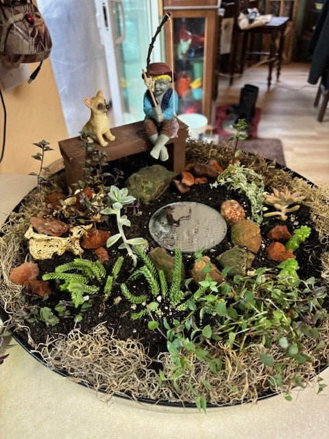 Black Austin Planter Saucer as a Succulent Garden