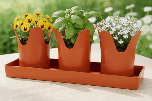 Balcony Garden Planters and Drainage for Compact Herbs