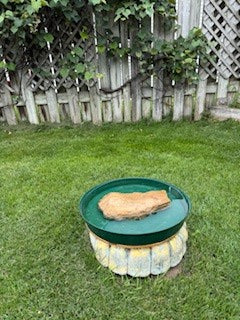 Austin Planter Hunter Green saucer as a bird bath