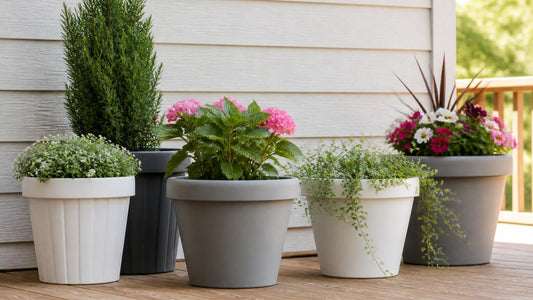 How to Choose Outdoor Planters: A 2026 Guide