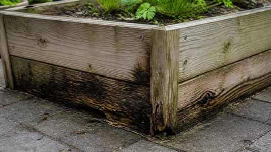 How to Keep Your Planter Box From Rotting